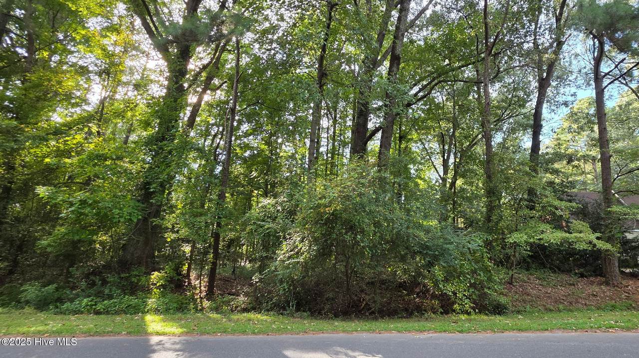 0 Niblick Road - Photo 1
