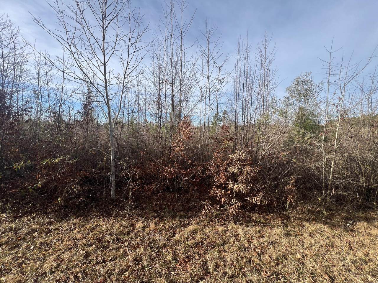 LOT5 Hephzibah Church Road - Photo 1