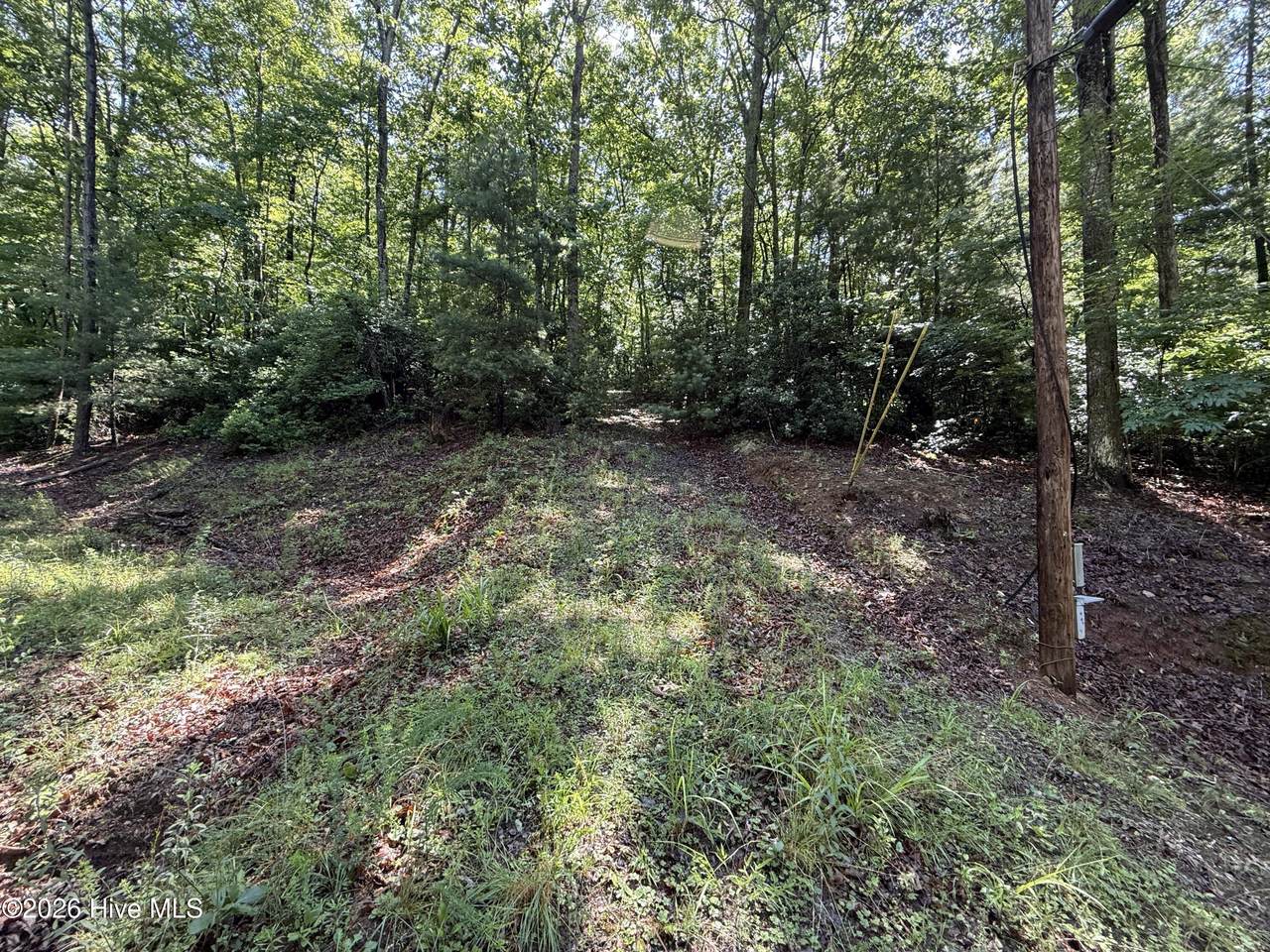 81 Roberts Road - Photo 1