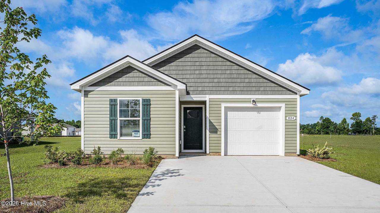 3019 Tasso Drive - Photo 1