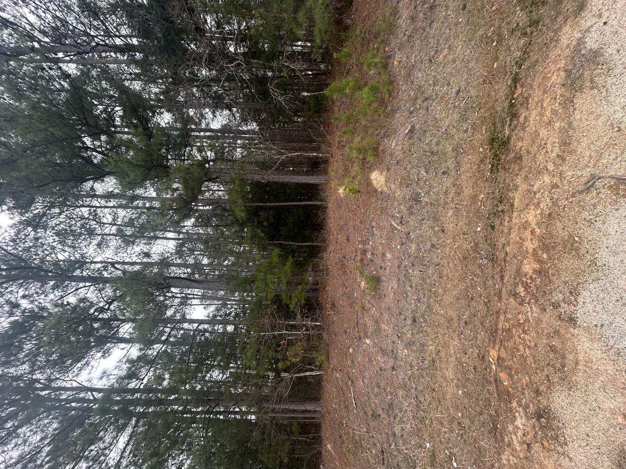 16.9 Ac Hwy 220 E - Photo 1