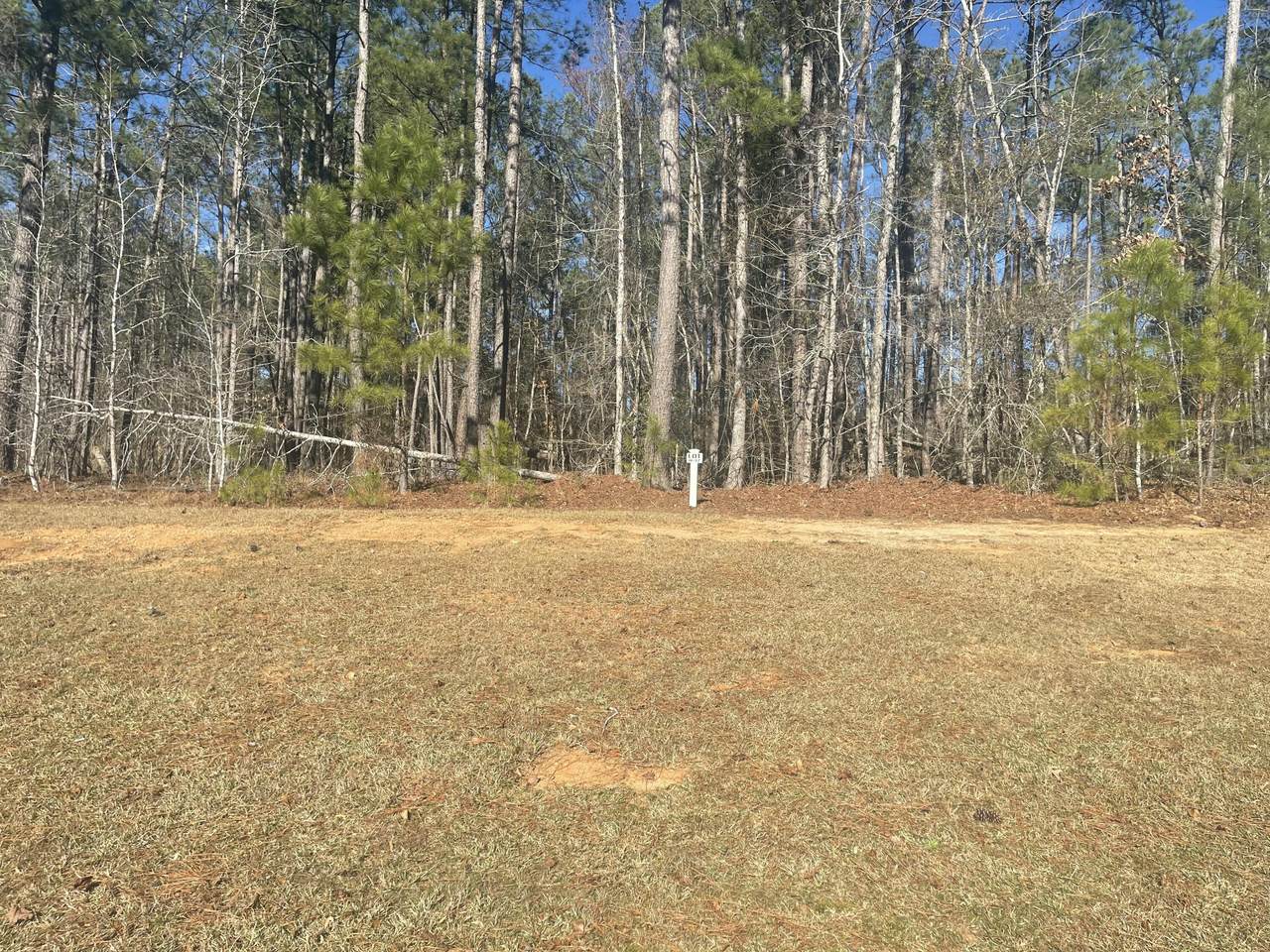 Lot H-17 Savannah Way - Photo 1