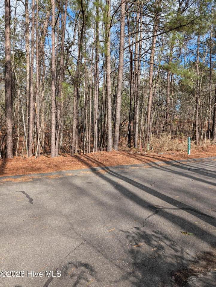 102 Bancroft Court - Photo 1