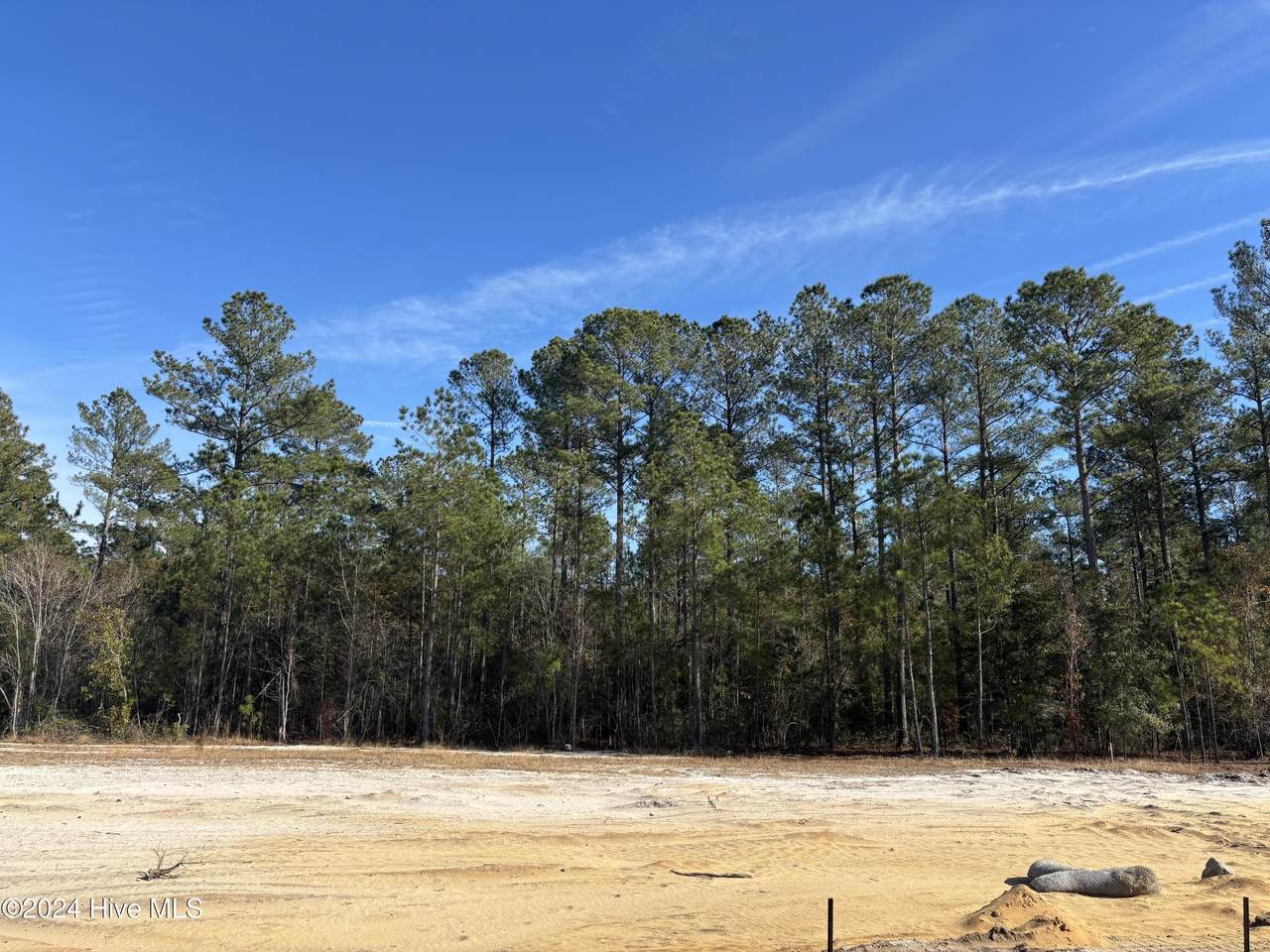 2983 Timber Crest Drive - Photo 1