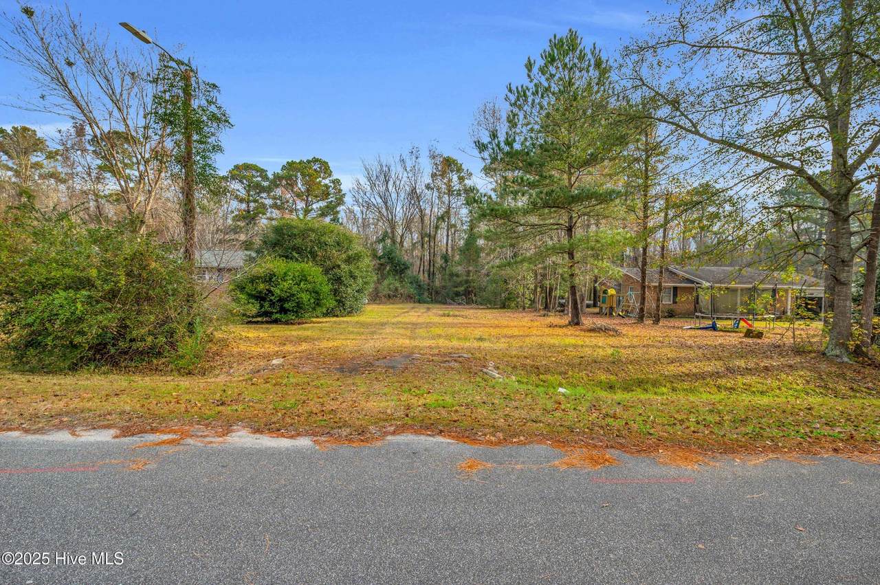 14 Crabapple Lane - Photo 1