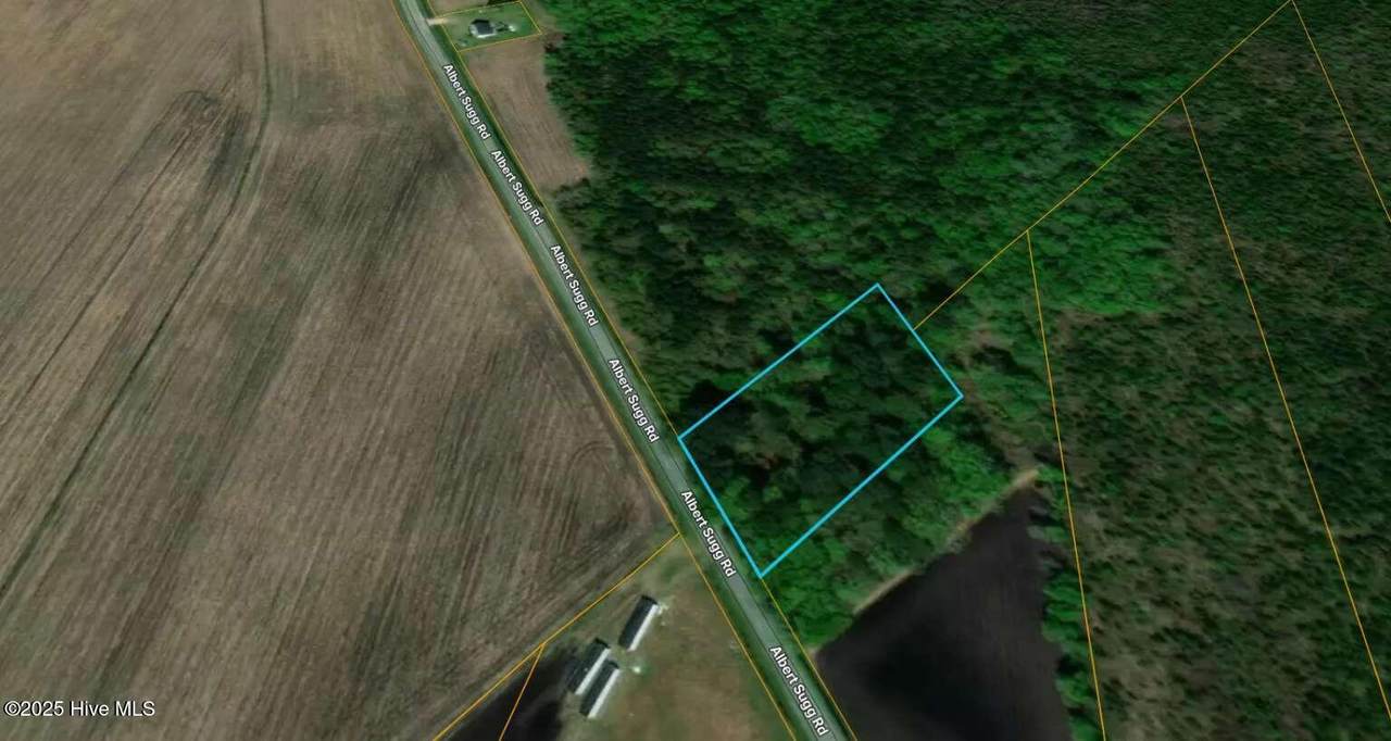 0 Albert Sugg Road - Photo 1