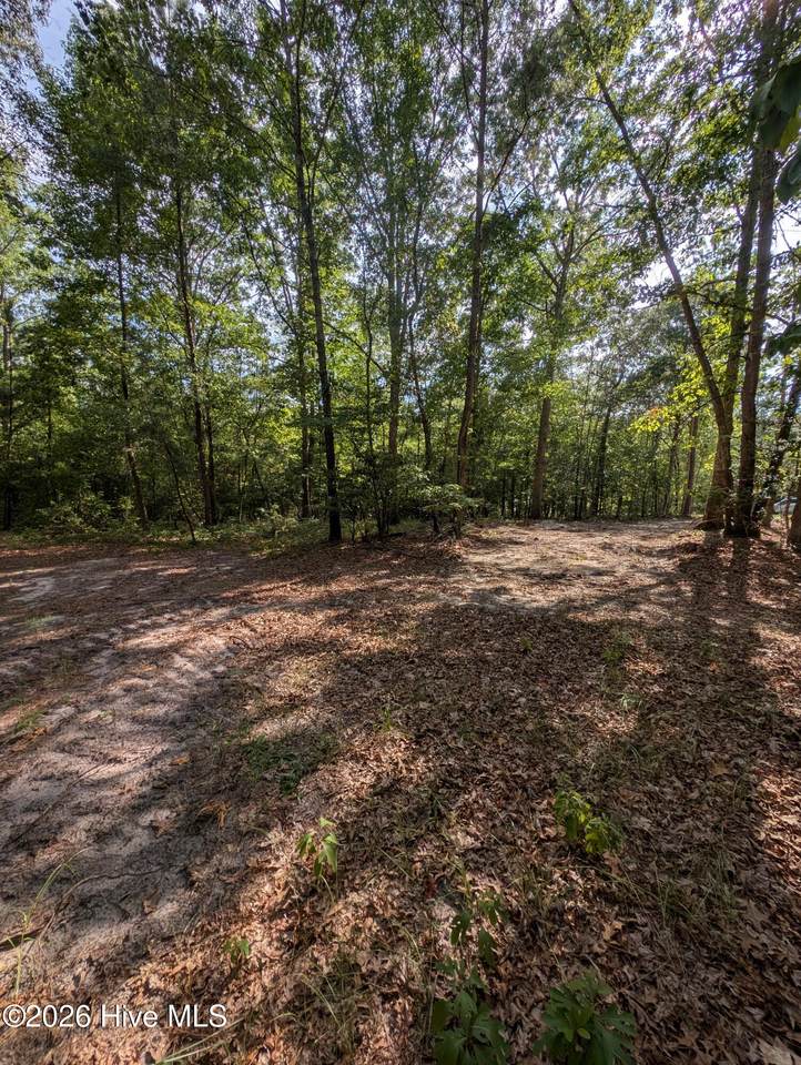 Tbd Peyton Drive - Photo 1