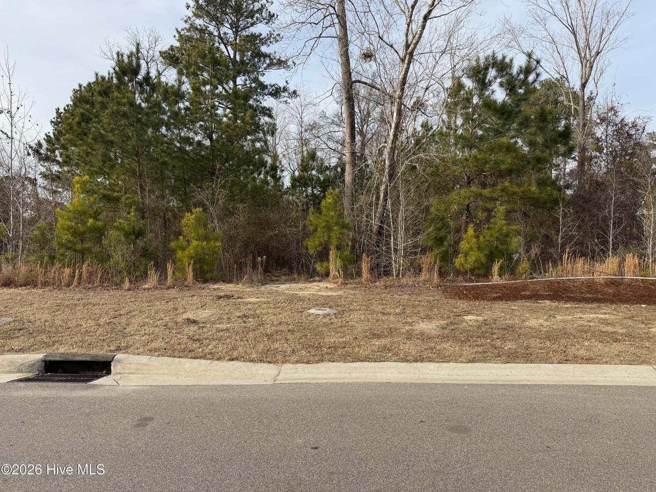 3422 Belle Meade Way - Photo 1