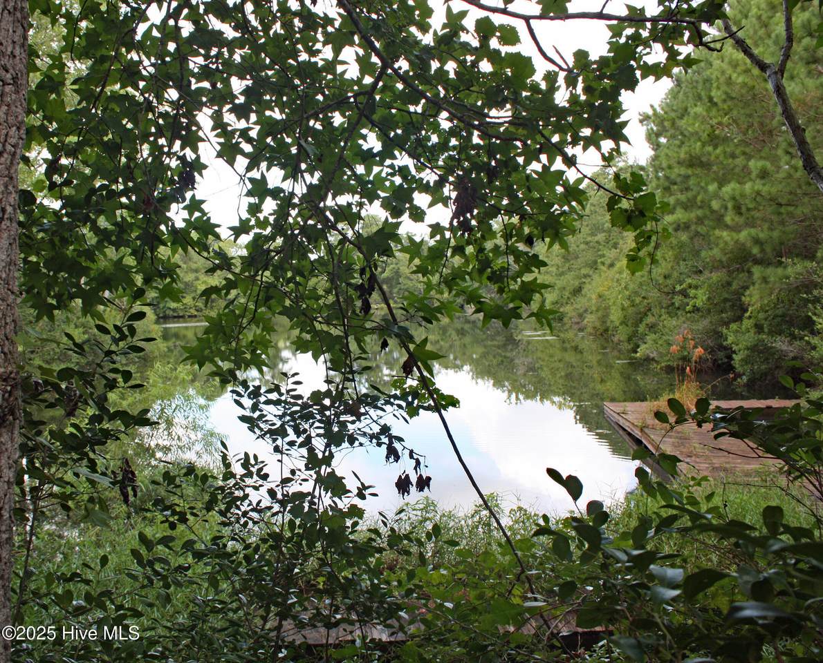 739 Loblolly Drive - Photo 1