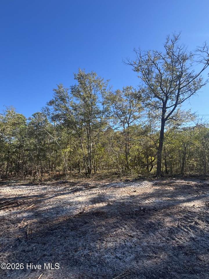 Lot 205 Coral Gull Street - Photo 1