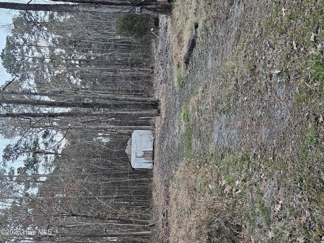 109 Pinewood Trail - Photo 1