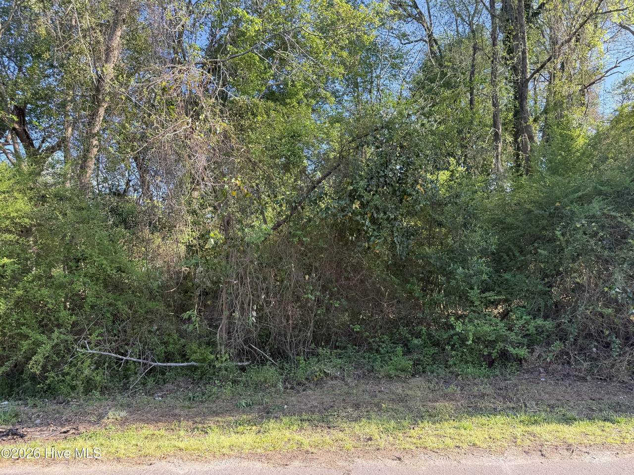 2509 New Bern Avenue - Photo 1