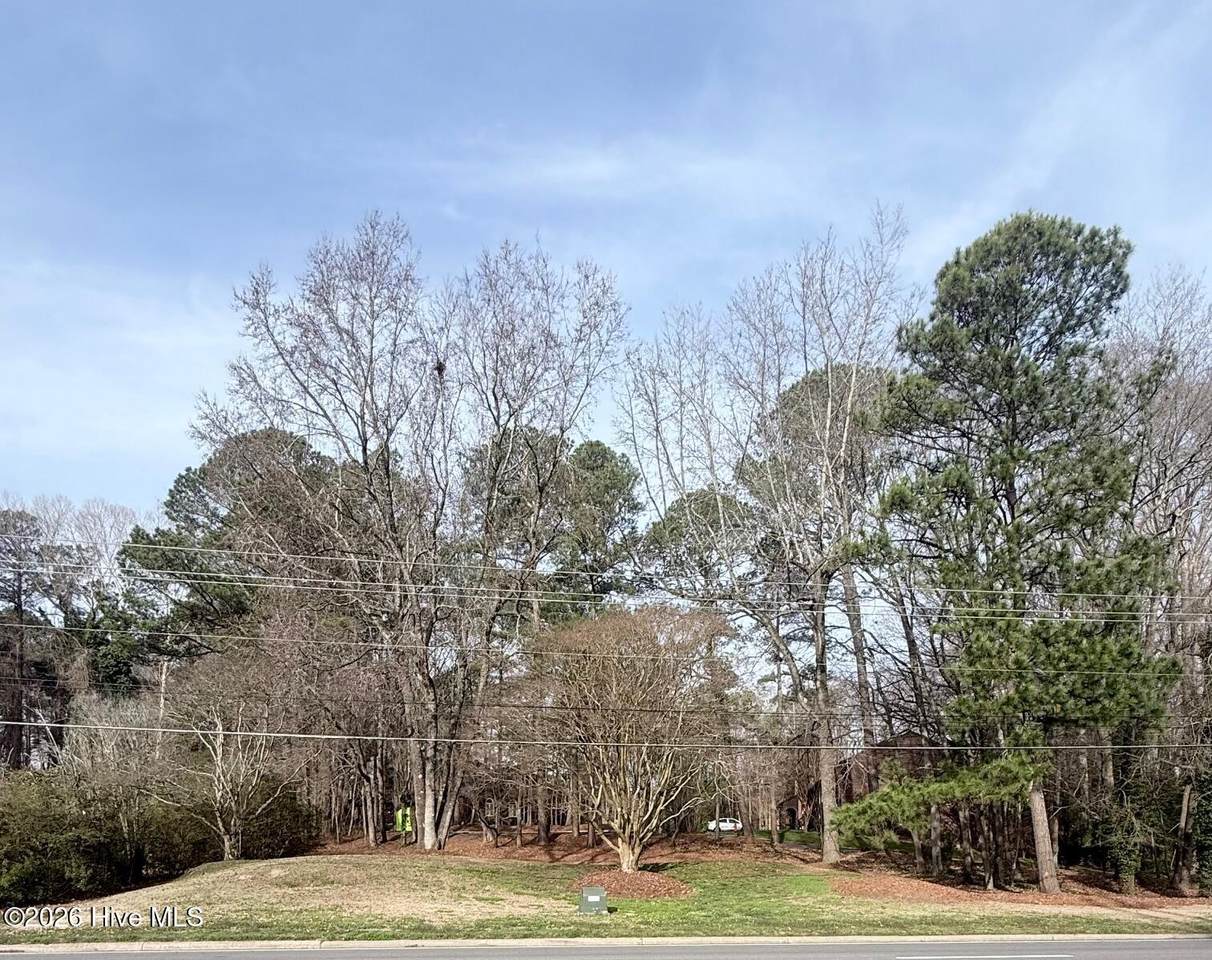 0 Forest Hills Road - Photo 1