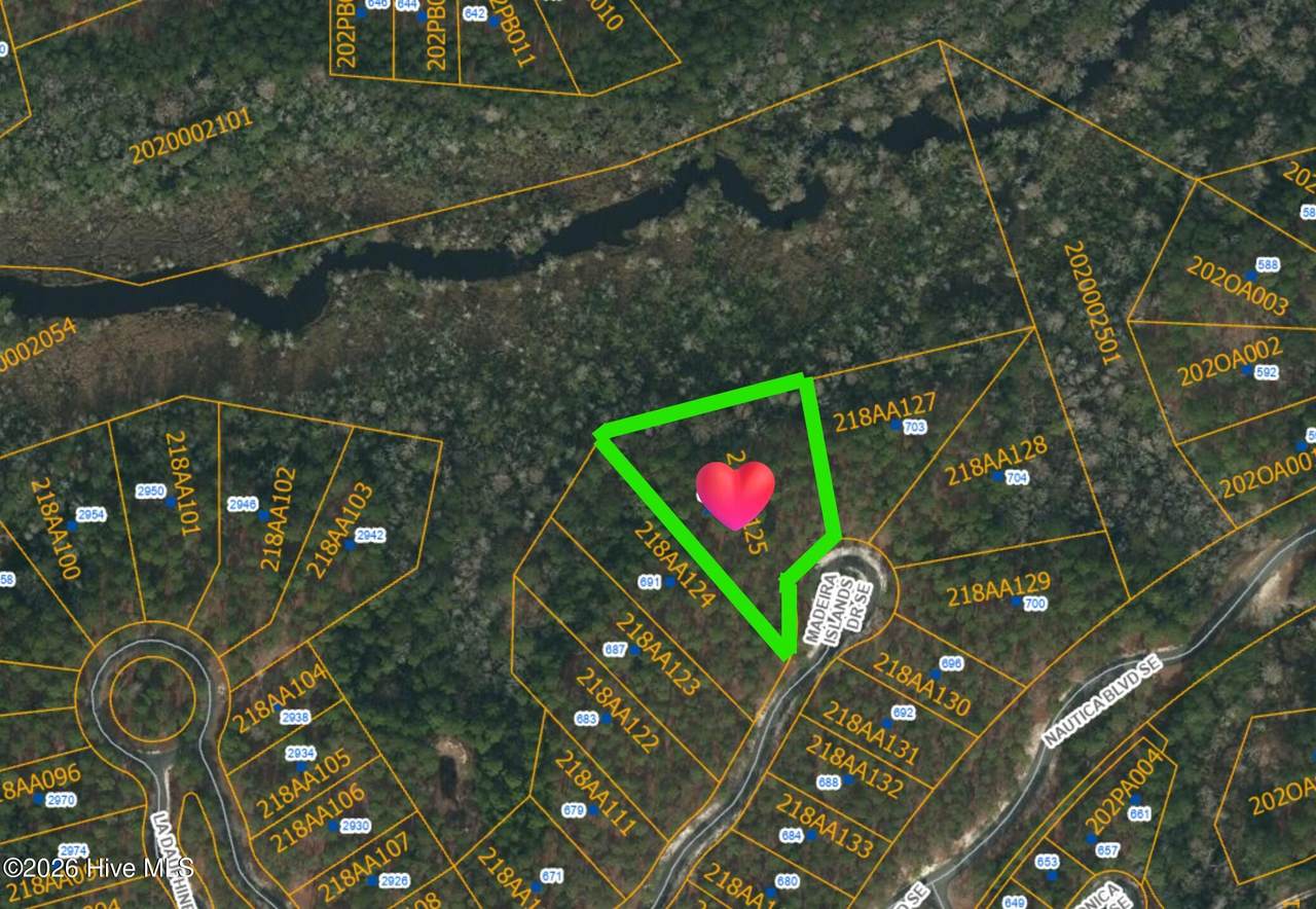 695 Madeira Islands Drive - Photo 1