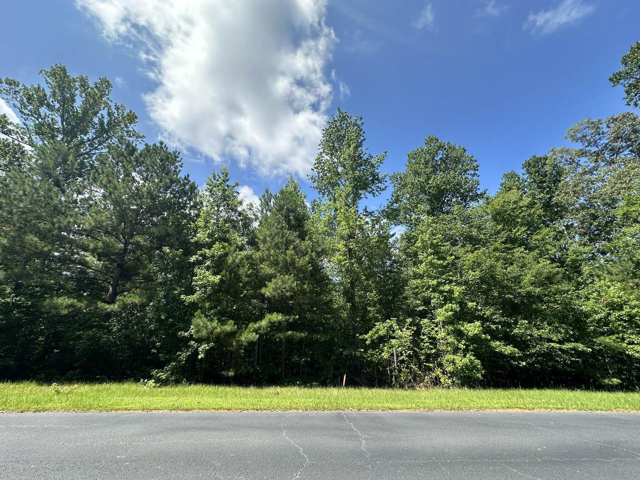 Lot 11 South Pointe Drive - Photo 1