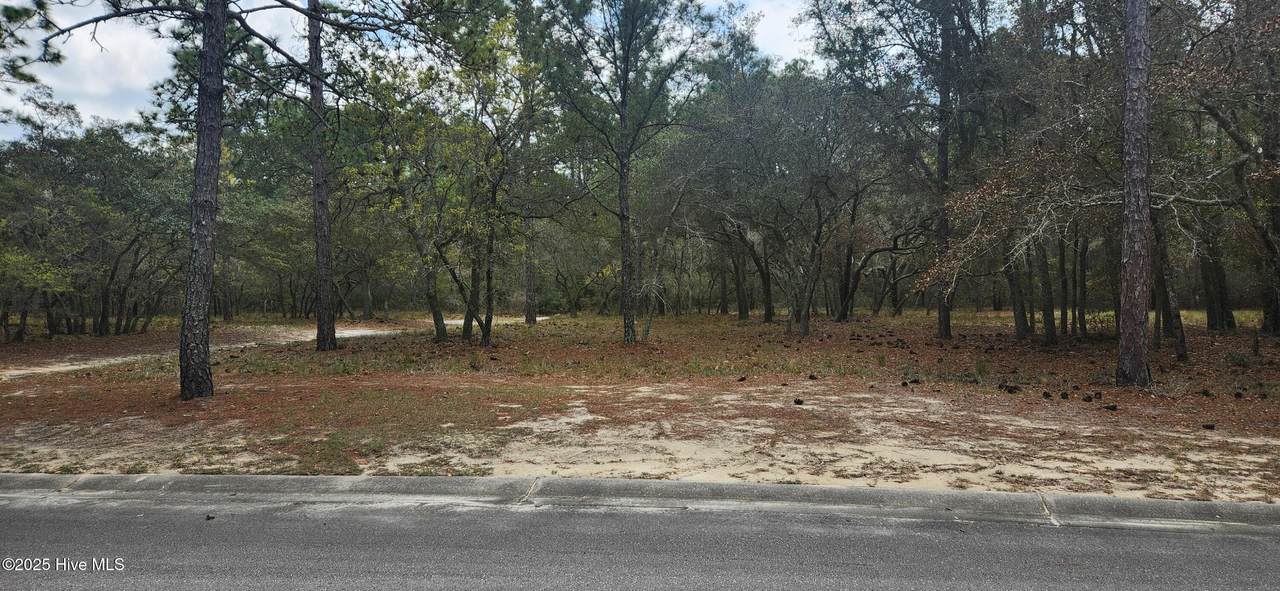 3611 Concordia Avenue - Photo 1