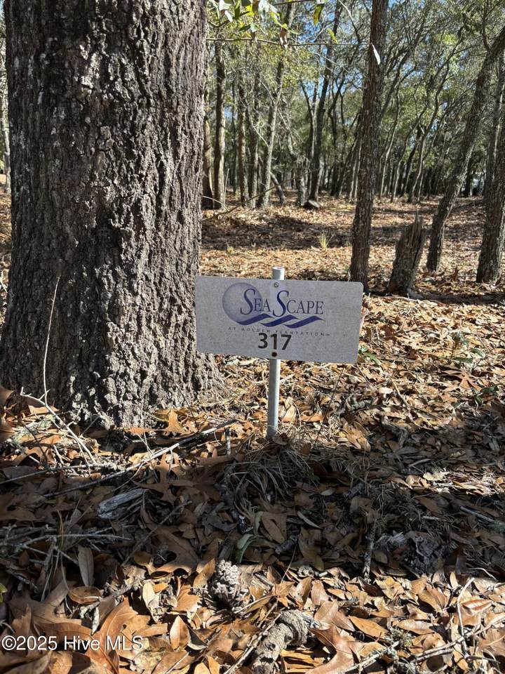 651 Valverda Street - Photo 1