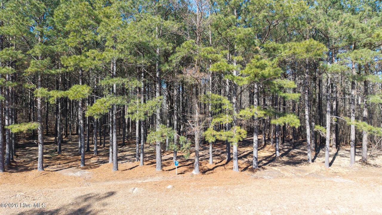 285 Riversound Drive - Photo 1