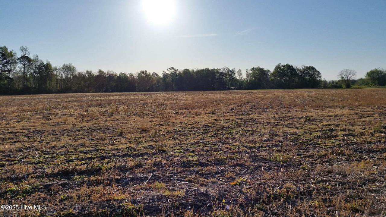 120 Old Main Road - Photo 1