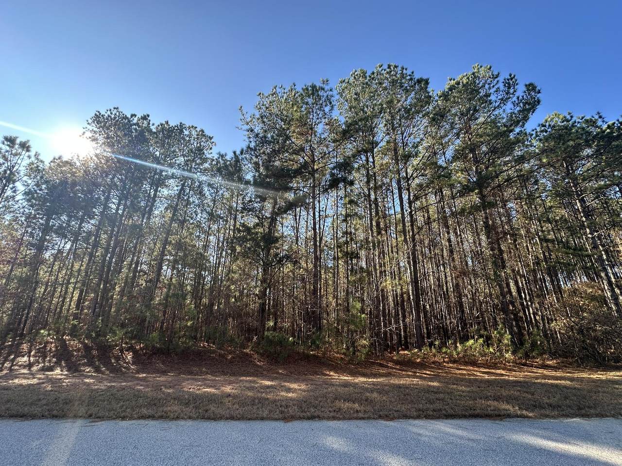 1252 Rogers Road - Photo 1