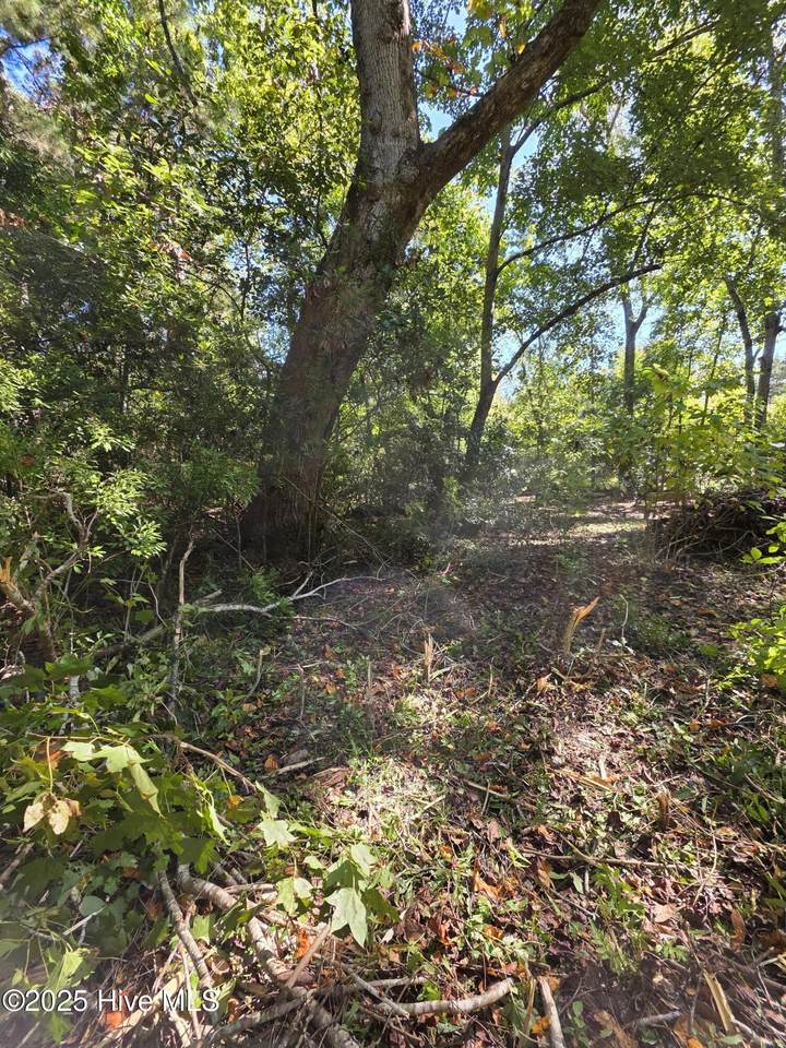 20 West High Bluff Drive - Photo 1
