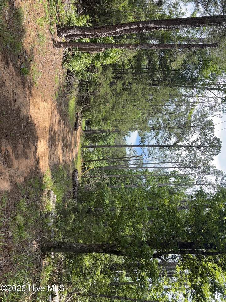 3763 Adelia Drive - Photo 1