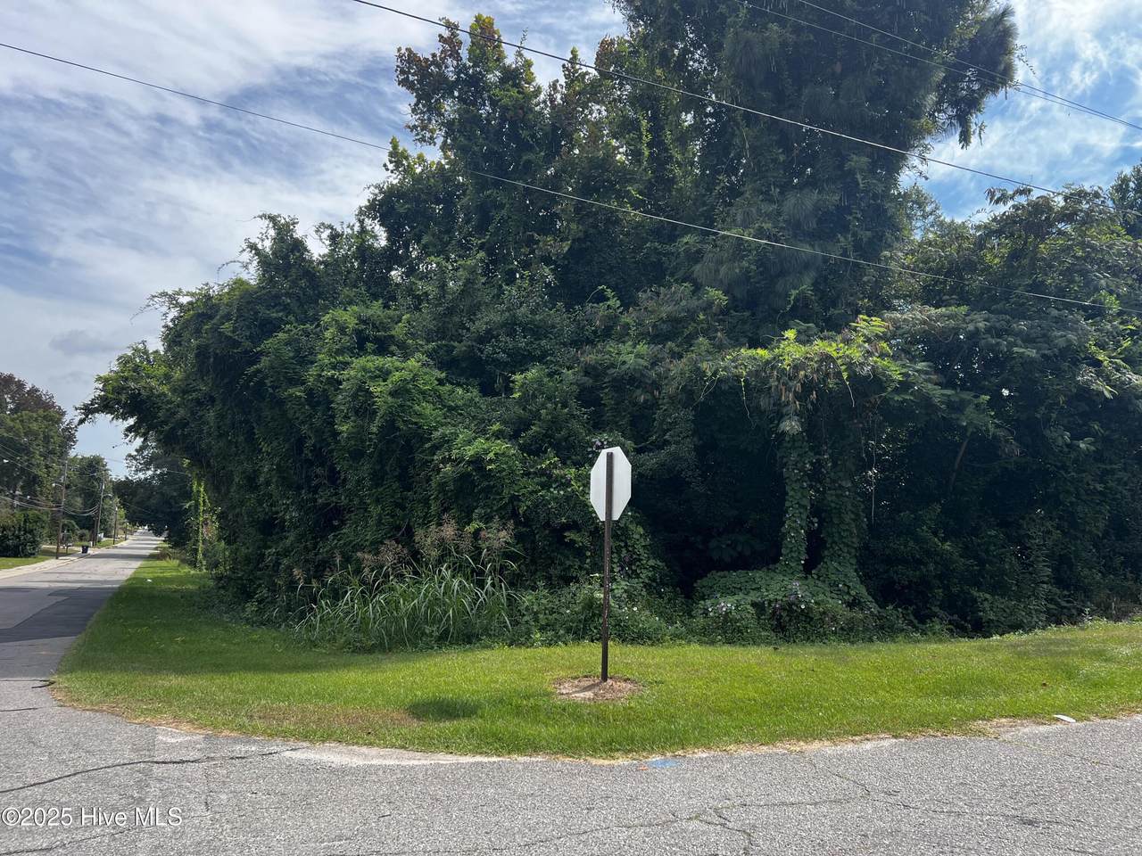 Tbd Indiana Avenue - Photo 1