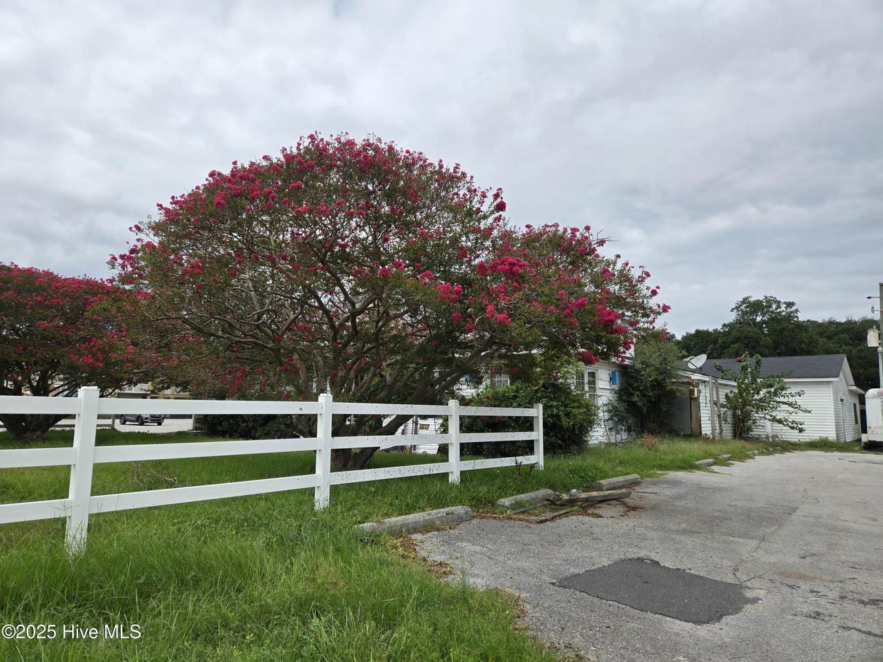 3110 Bridges Street - Photo 1
