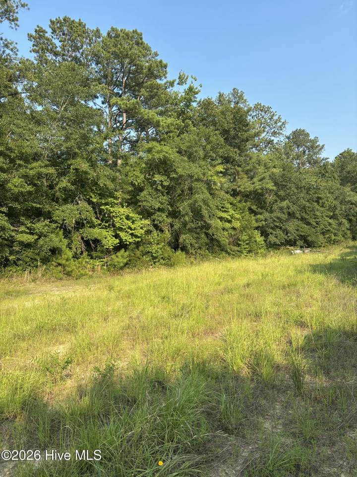 00 Magnolia Church Road - Photo 1