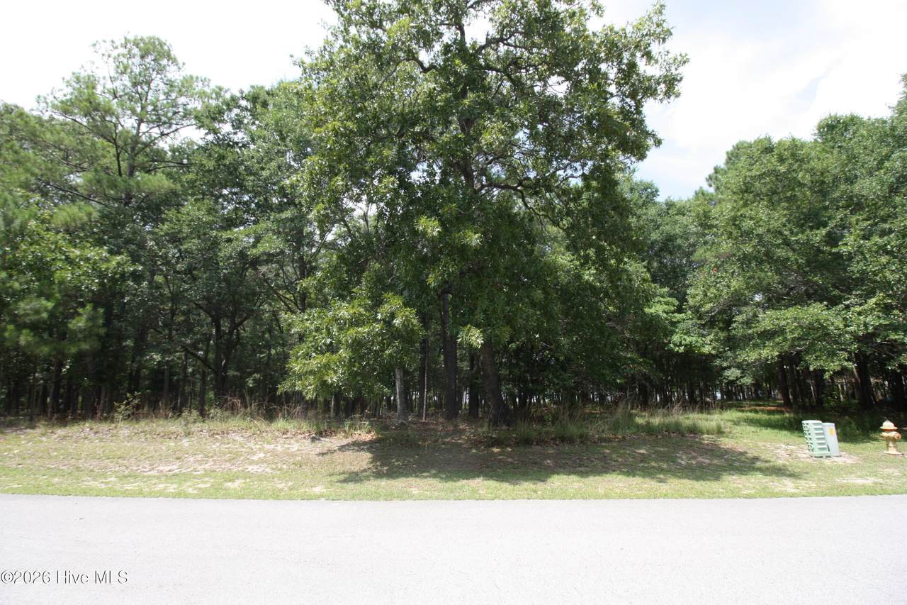 1809 Harbour Edge Lane - Photo 1