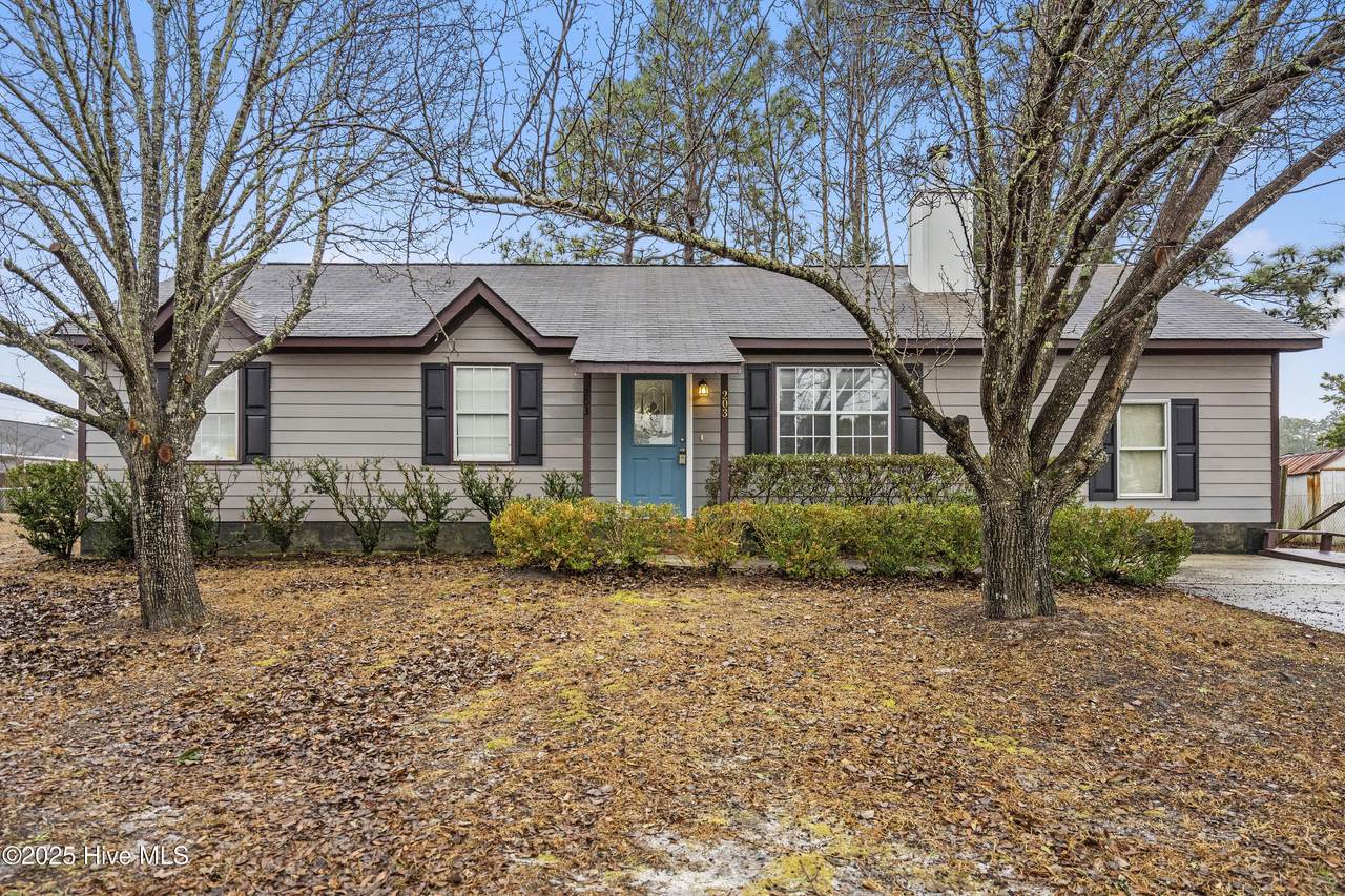 203 Savanna Court - Photo 1