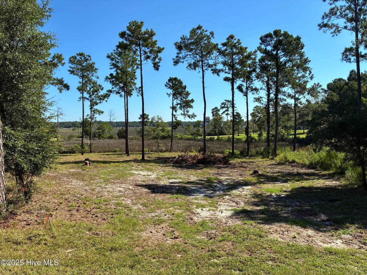 2440 Crape Myrtle Court - Photo 1
