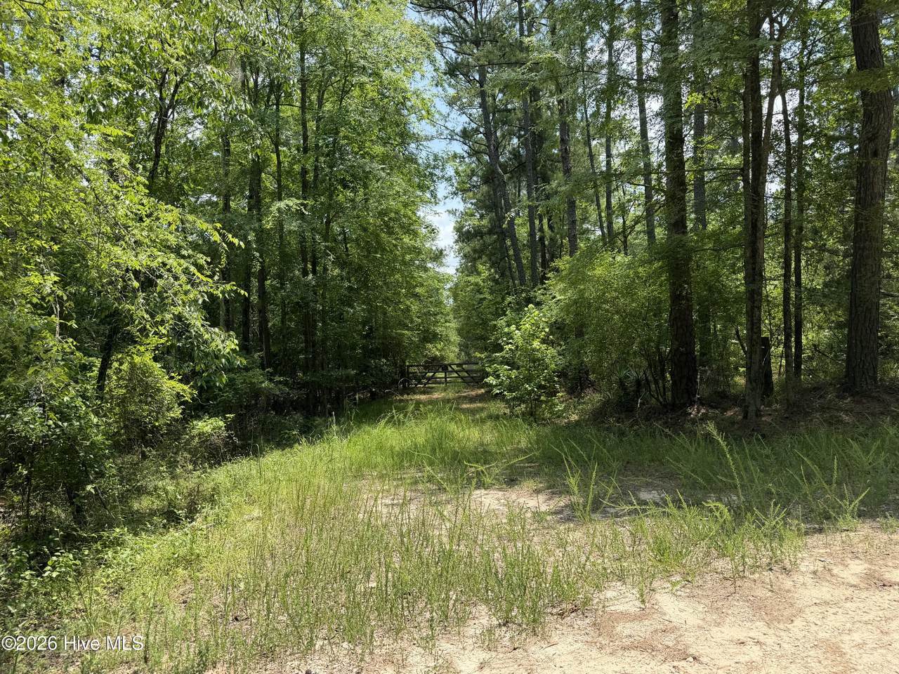 0 Burks Mountain Road - Photo 1