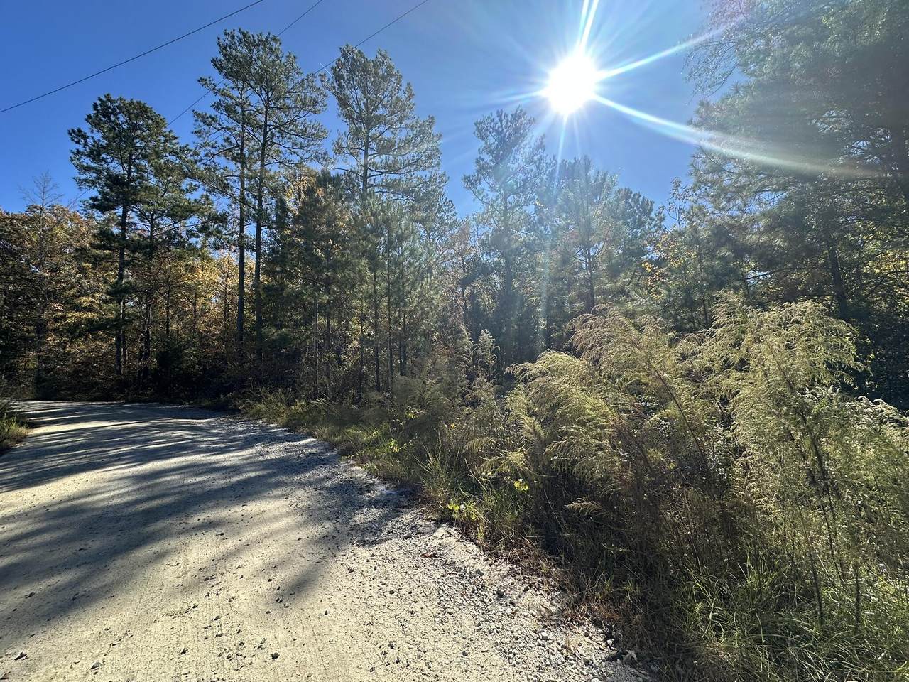 Lot 27&28 Lakeshore Estates Drive - Photo 1
