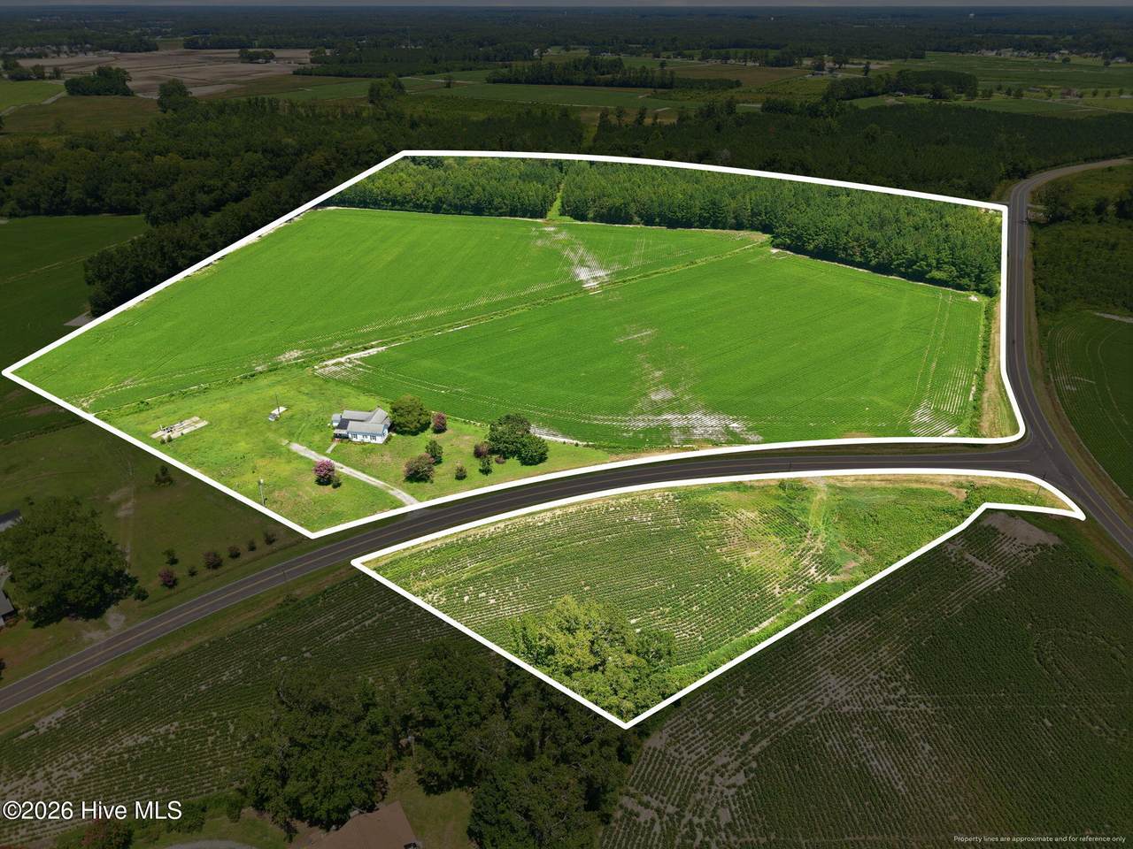 1175 Laurie Ellis Road - Photo 1