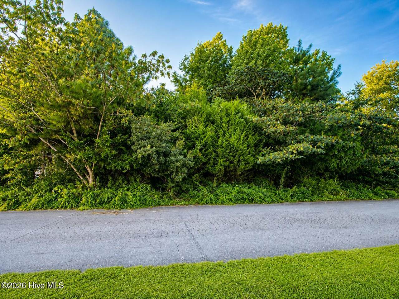 114 Cherrybark Drive - Photo 1
