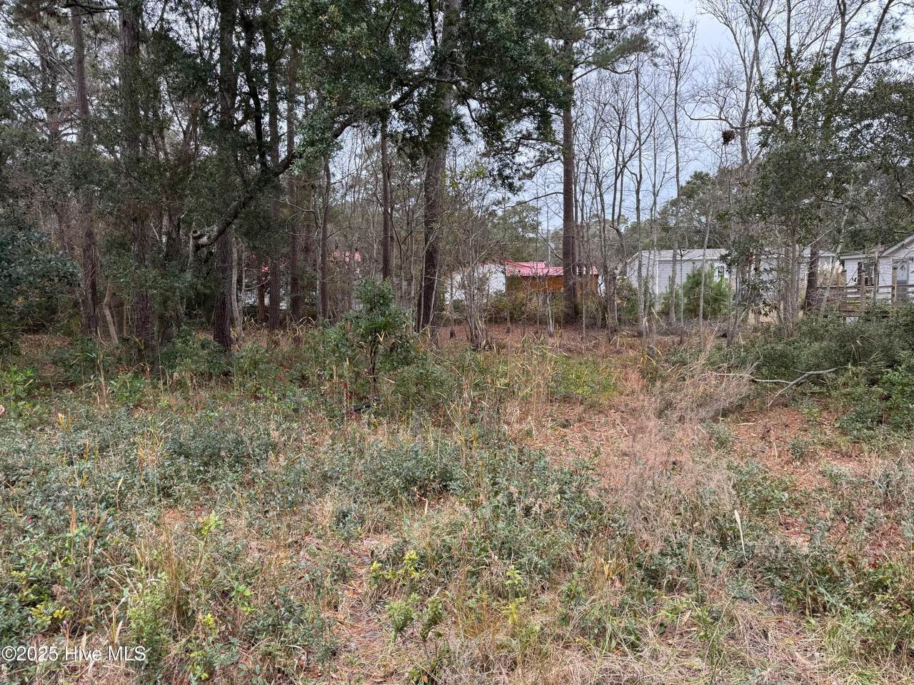 659 Brookneal Street - Photo 1