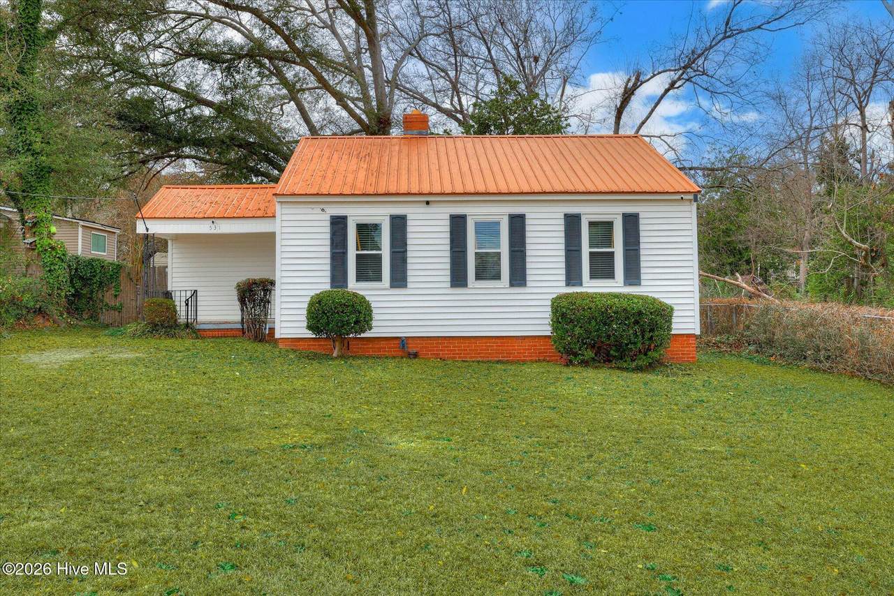 531 Carr Street - Photo 1