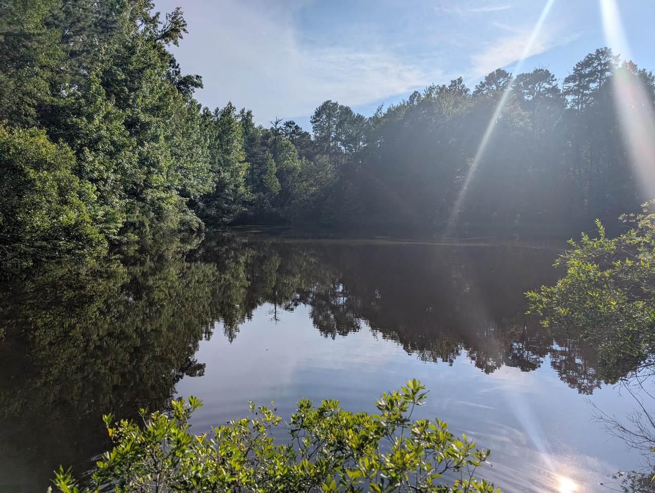 3085 Marshall Road - Photo 1