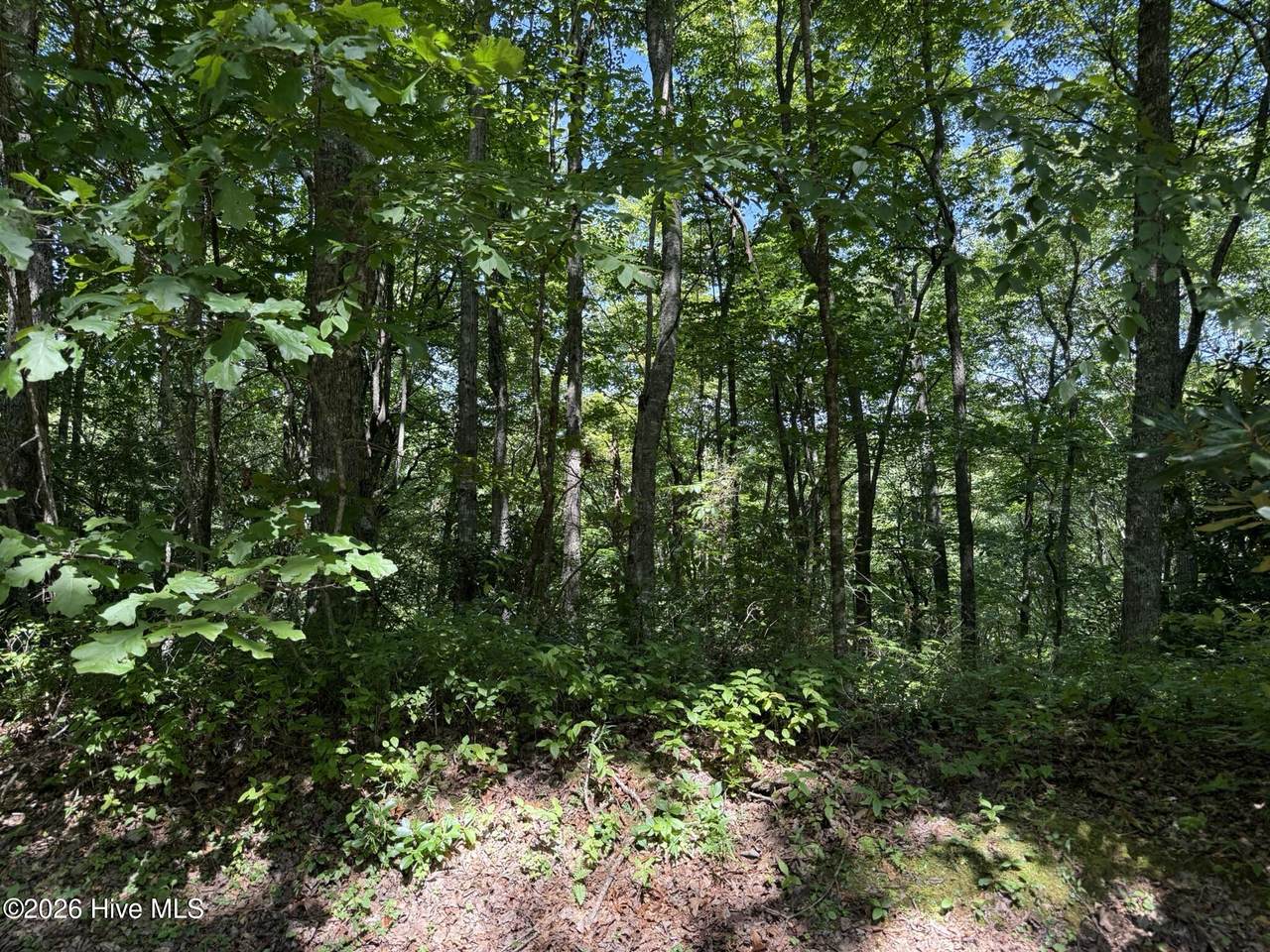 Lot 3 Amber Lane - Photo 1