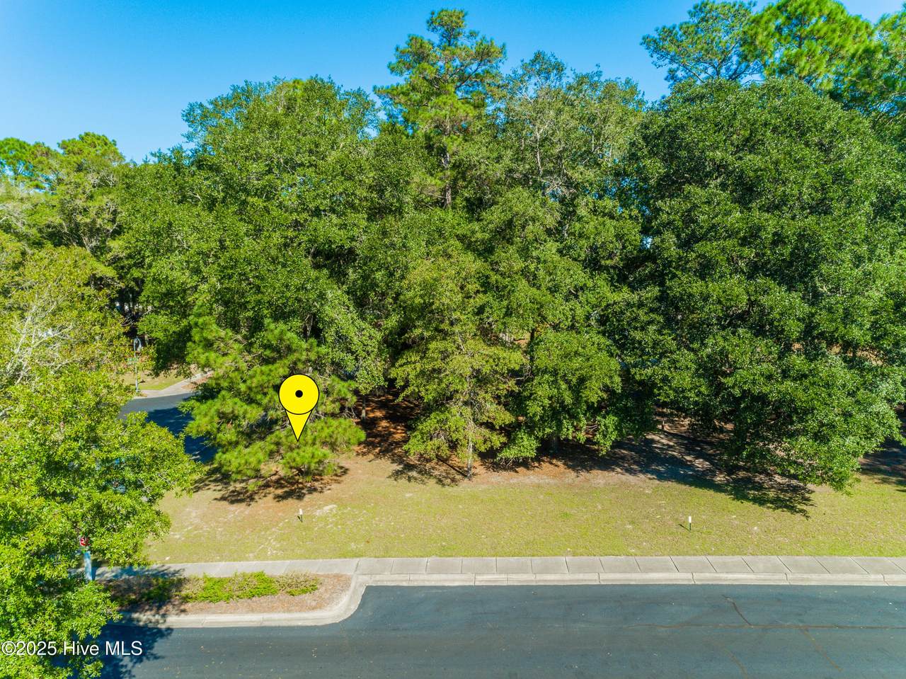 9150 Devaun Park Boulevard - Photo 1