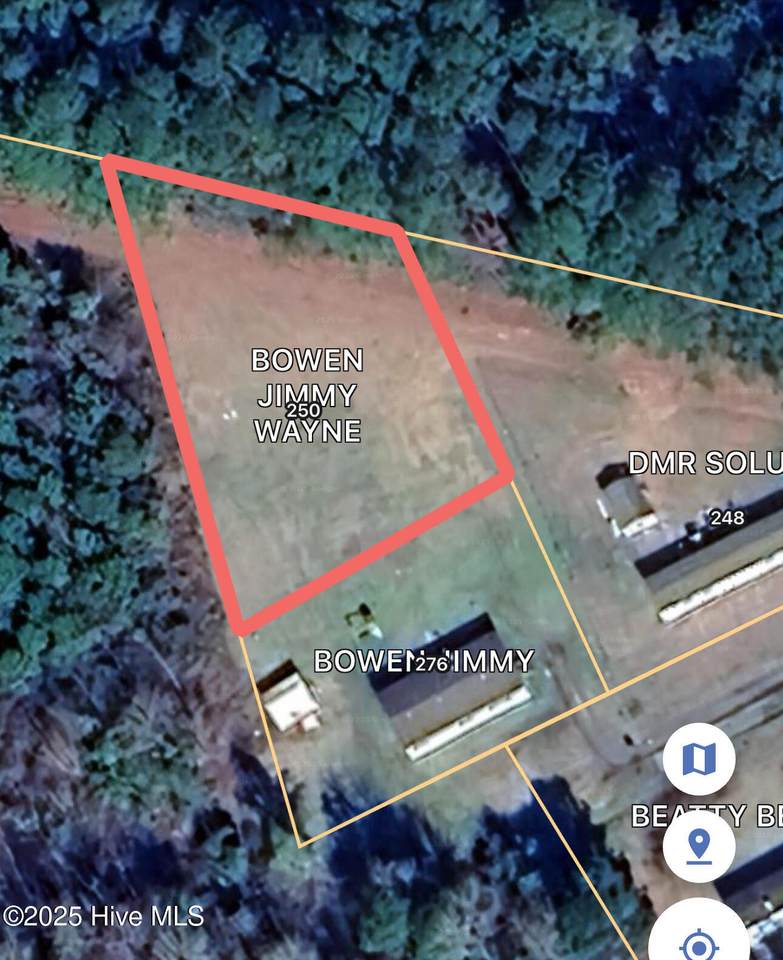 250 Harvey Bowen Lane - Photo 1