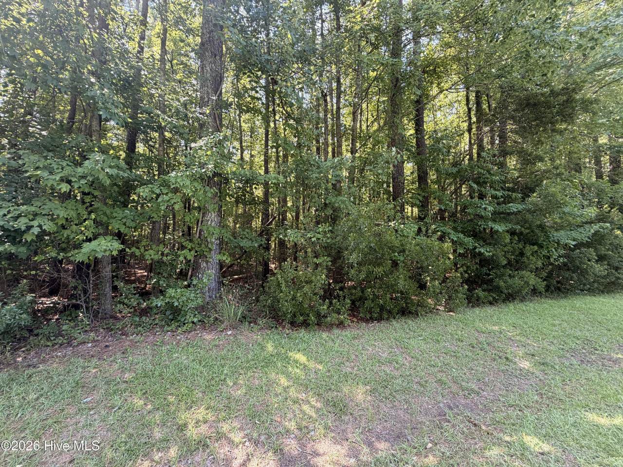 Lot 18 Off Sr 1119 - Photo 1