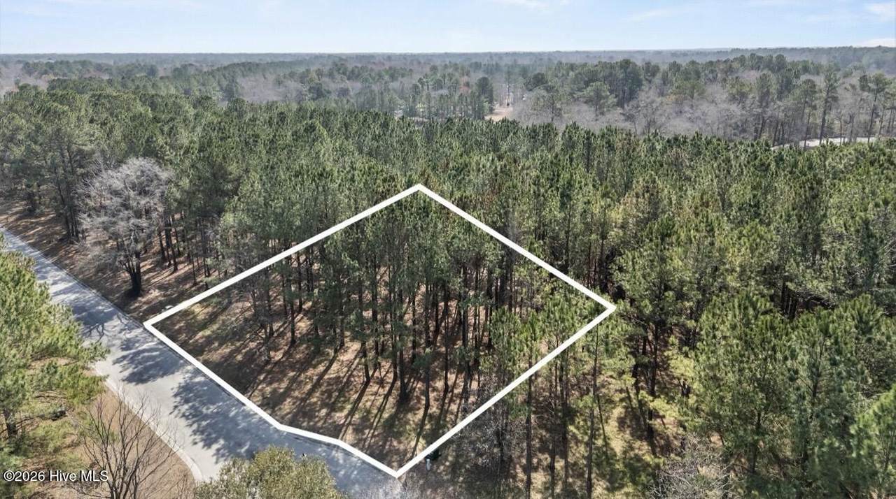 121 Grandiflora Drive - Photo 1