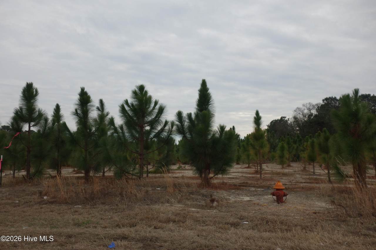 Lot 42 Stuarts Mill Road - Photo 1