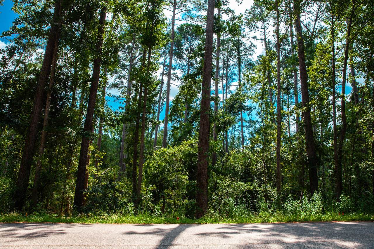 Lot 4 Furey Drive - Photo 1