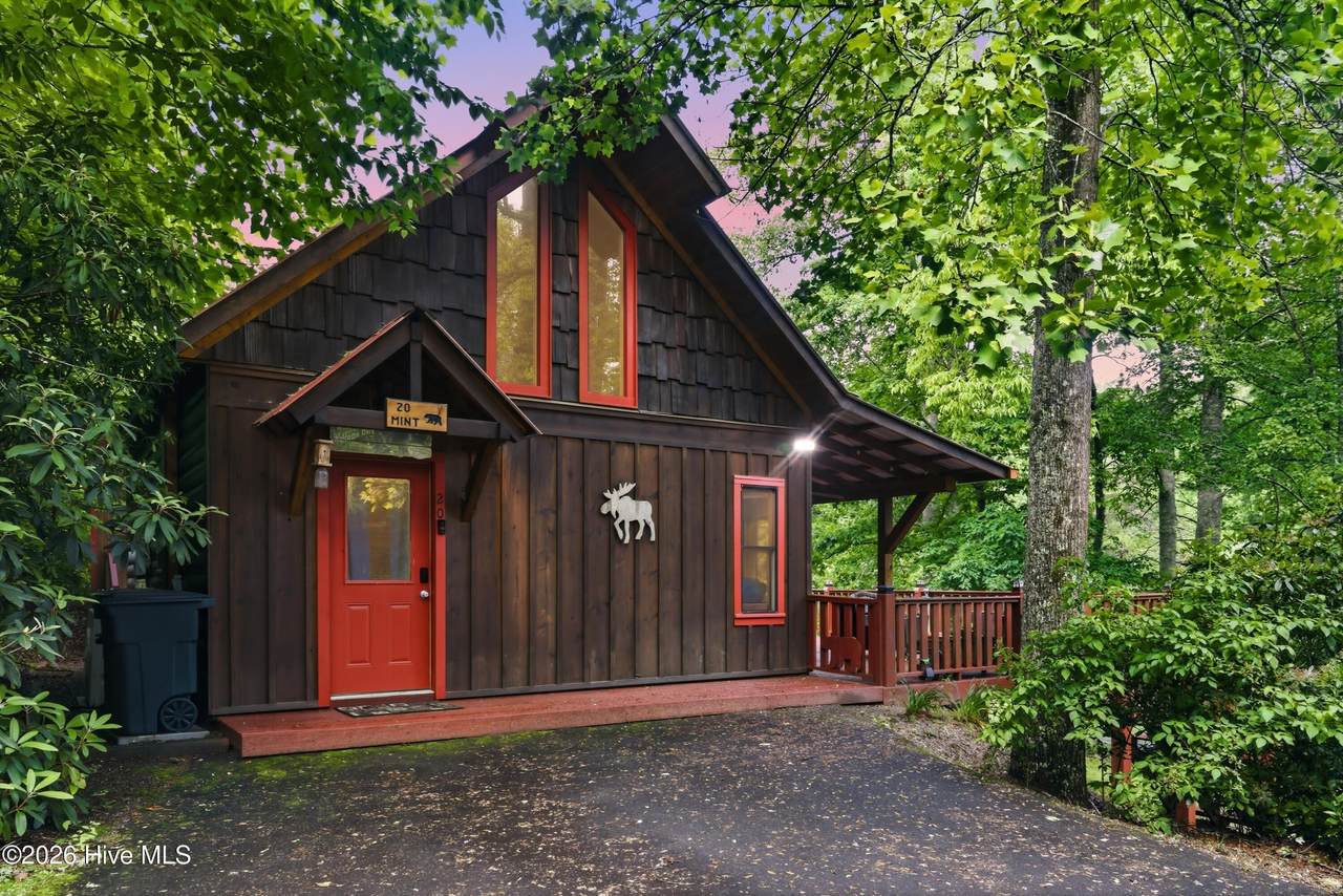 20 Mint Lane - Photo 1