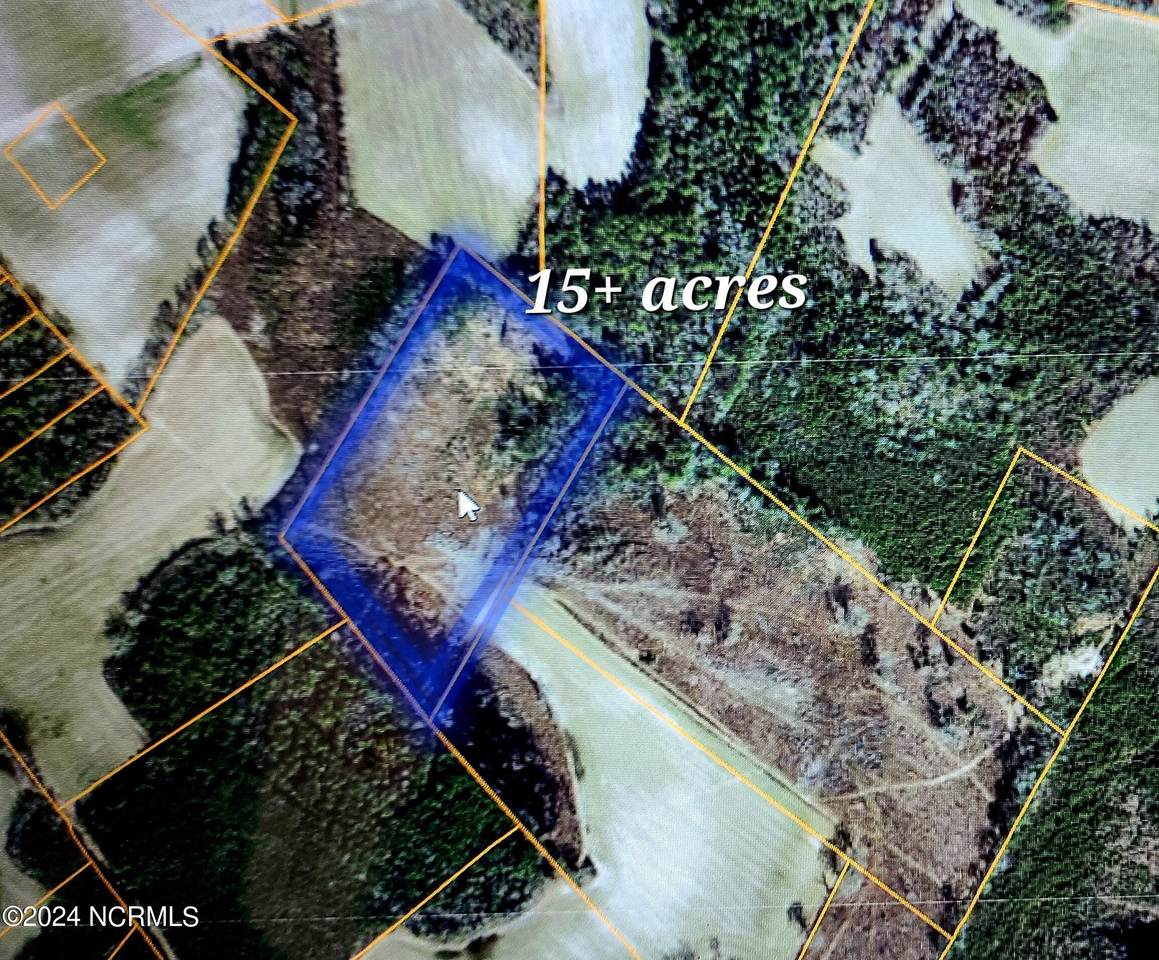 1 Harrells Highway - Photo 1
