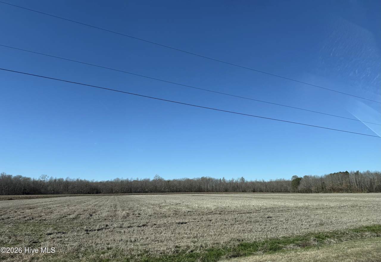 Lot 24 Beasley Road - Photo 1