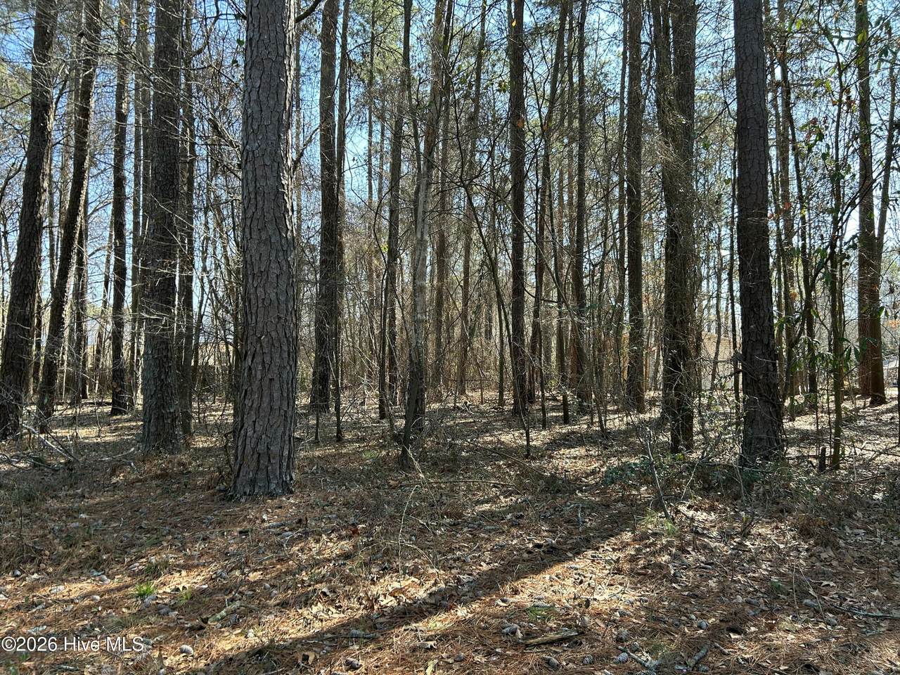 1502 Sac Trail - Photo 1